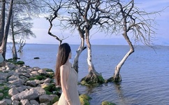 爱超越国界中文版